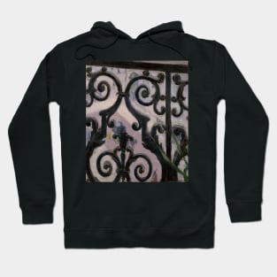 View from a Balcony by Gustave Caillebotte Hoodie